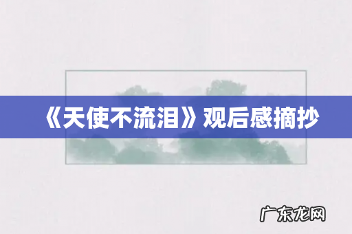 《天使不流泪》观后感摘抄