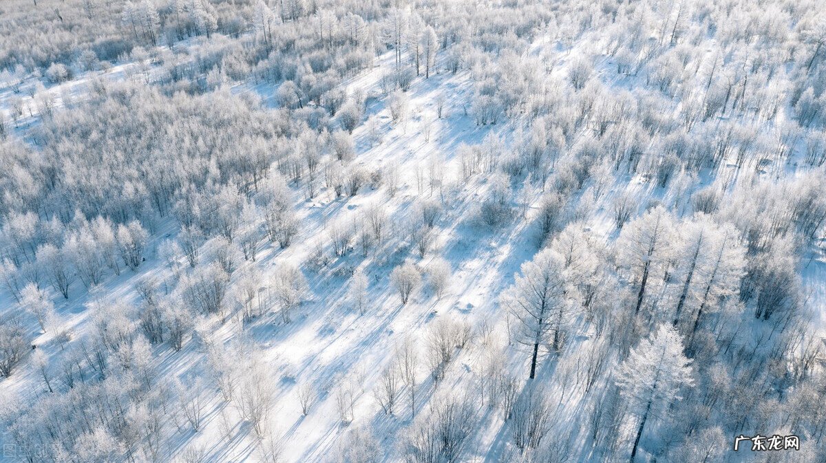 2月份去哪里玩比较适合 2月份去哪旅游好吗