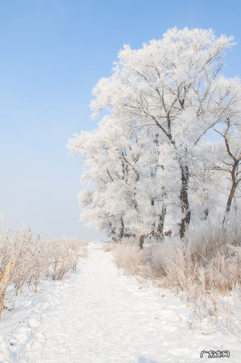 2月份去哪里玩比较适合 2月份去哪旅游好吗