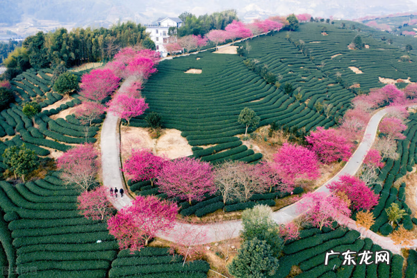 2月份去哪里玩比较适合 2月份去哪旅游好吗