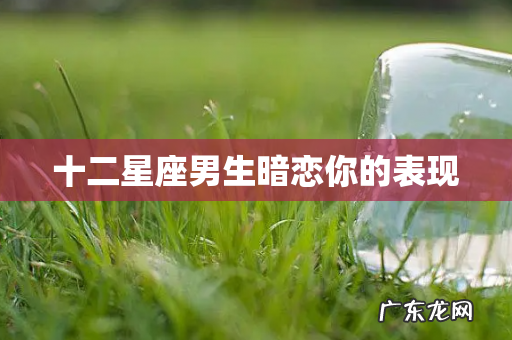 十二星座男生暗恋你的表现