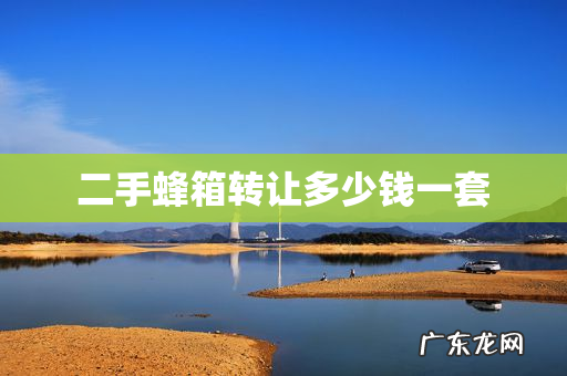 二手蜂箱转让多少钱一套