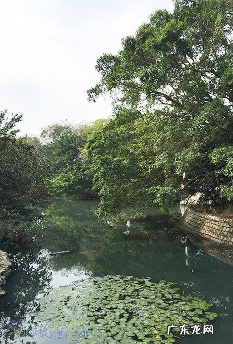 风水宝地的意思是什么 香港邓氏风水宝地