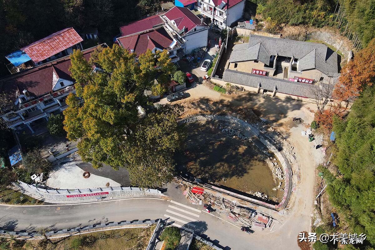 修鱼塘堤怎么修好 门前的鱼塘怎么修才好