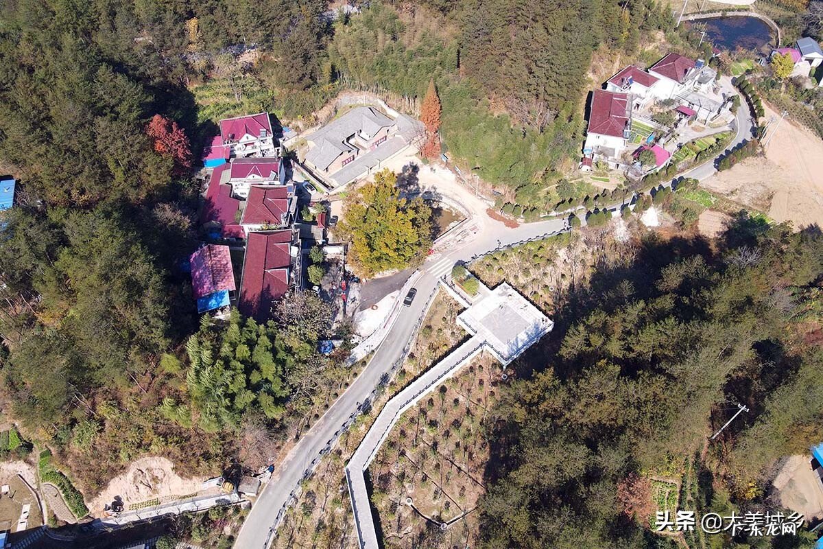 修鱼塘堤怎么修好 门前的鱼塘怎么修才好