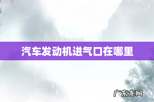 汽车发动机进气口在哪里