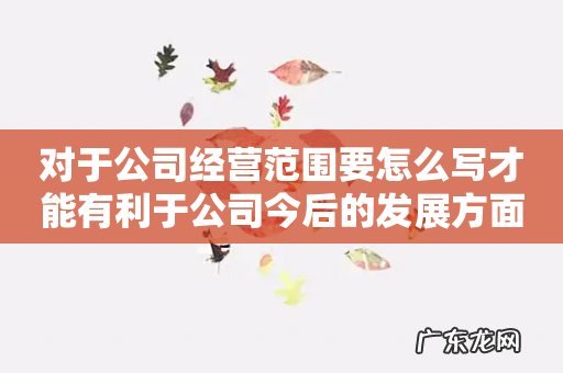 对于公司经营范围要怎么写才能有利于公司今后的发展方面