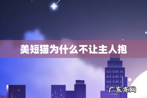 美短猫为什么不让主人抱