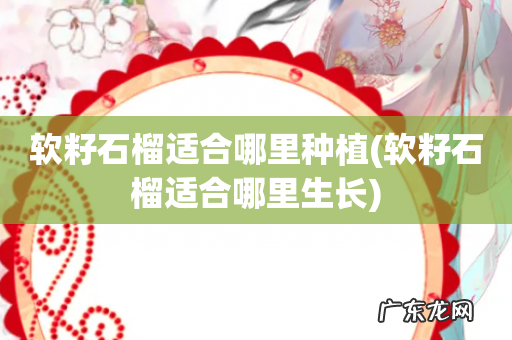 软籽石榴适合哪里生长 软籽石榴适合哪里种植