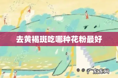 去黄褐斑吃哪种花粉最好