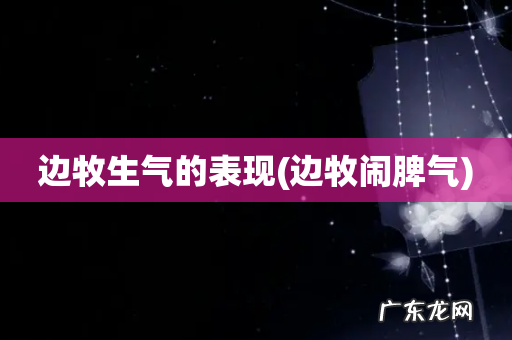 边牧闹脾气 边牧生气的表现