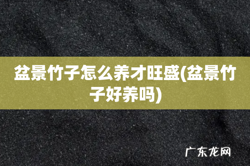 盆景竹子好养吗 盆景竹子怎么养才旺盛