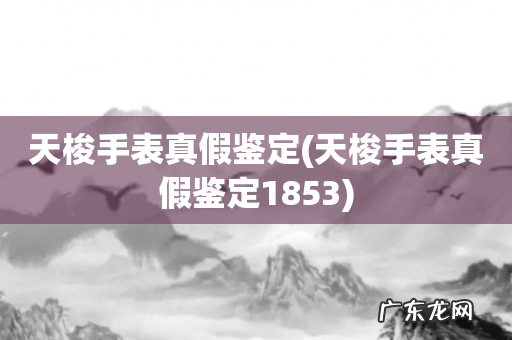 天梭手表真假鉴定1853 天梭手表真假鉴定