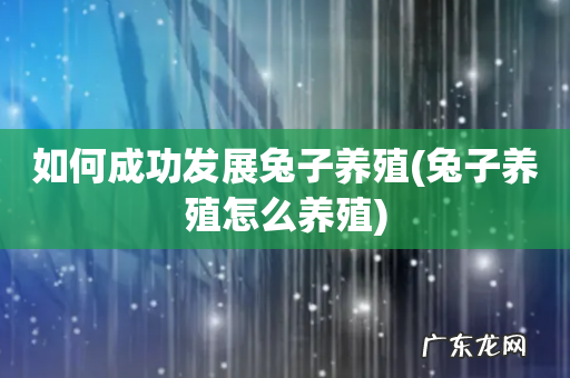 兔子养殖怎么养殖 如何成功发展兔子养殖