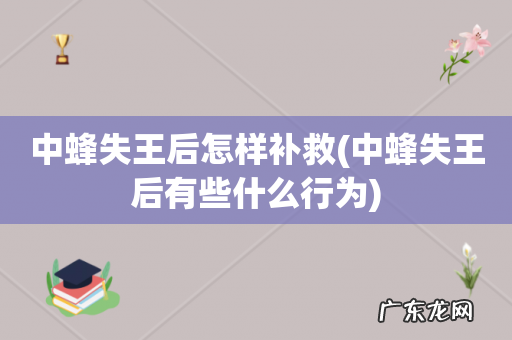 中蜂失王后有些什么行为 中蜂失王后怎样补救