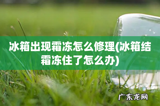 冰箱结霜冻住了怎么办 冰箱出现霜冻怎么修理
