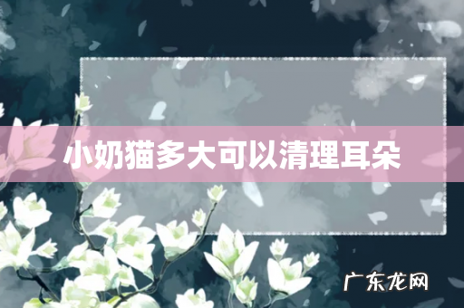 小奶猫多大可以清理耳朵