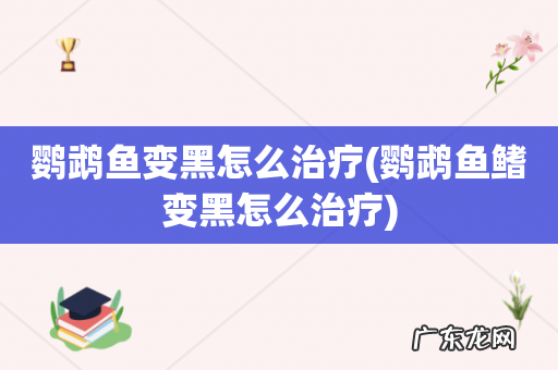 鹦鹉鱼鳍变黑怎么治疗 鹦鹉鱼变黑怎么治疗