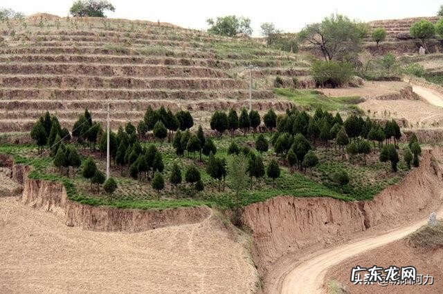 阴宅风水中的真龙大地 风水断龙脉