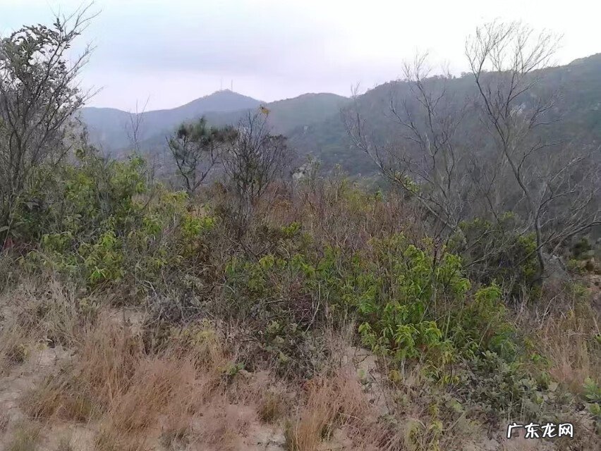 阳宅二龙戏珠风水宝地 风水宝地含珠穴