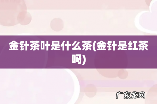 金针是红茶吗 金针茶叶是什么茶