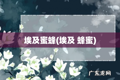 埃及 蜂蜜 埃及蜜蜂