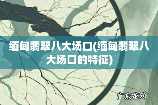 缅甸翡翠八大场口的特征 缅甸翡翠八大场口