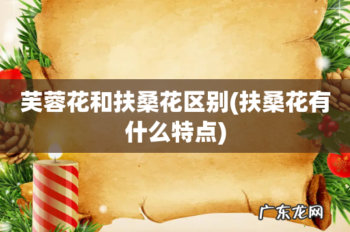 扶桑花有什么特点 芙蓉花和扶桑花区别