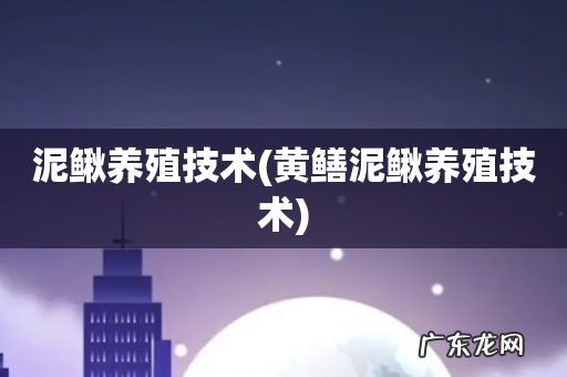 黄鳝泥鳅养殖技术 泥鳅养殖技术