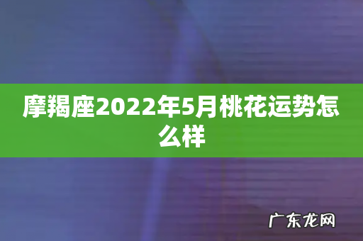摩羯座2022年5月桃花运势怎么样