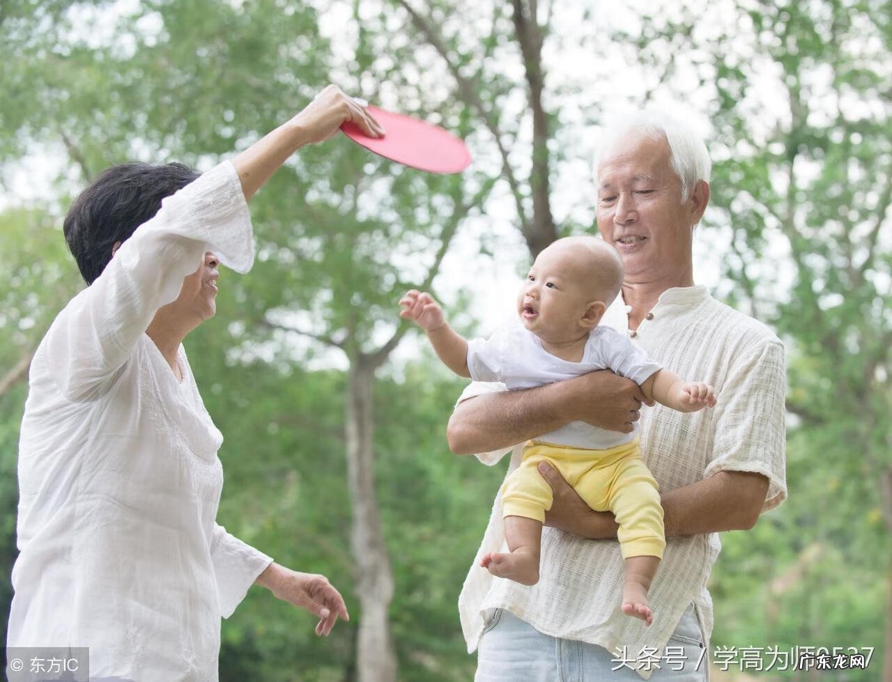 暑假记事的作文500字 暑假趣事500字作文大全