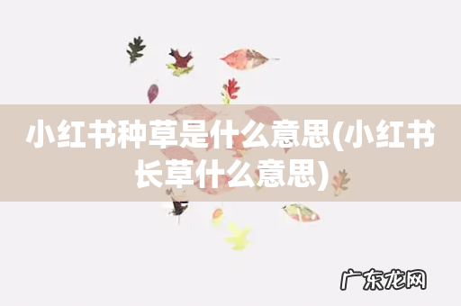 小红书长草什么意思 小红书种草是什么意思