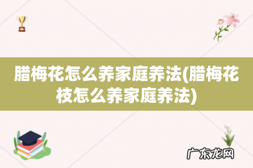 腊梅花枝怎么养家庭养法 腊梅花怎么养家庭养法