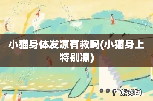 小猫身上特别凉 小猫身体发凉有救吗