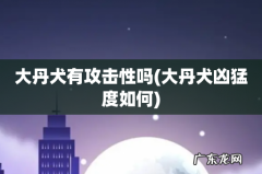 大丹犬凶猛度如何 大丹犬有攻击性吗