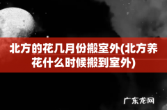 北方养花什么时候搬到室外 北方的花几月份搬室外
