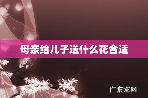 母亲给儿子送什么花合适