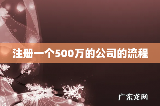 注册一个500万的公司的流程