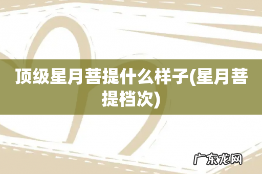 星月菩提档次 顶级星月菩提什么样子