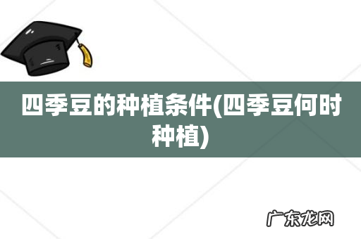 四季豆何时种植 四季豆的种植条件