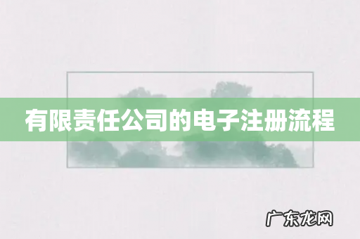 有限责任公司的电子注册流程