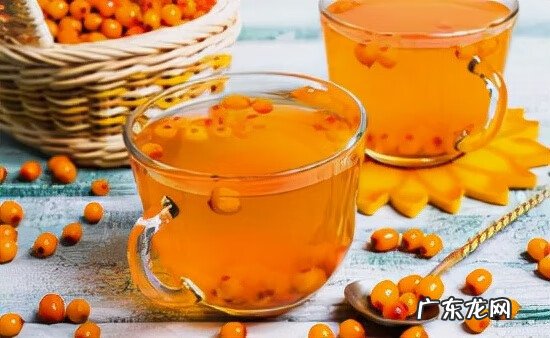 沙棘是什么做的 沙棘是什么东西