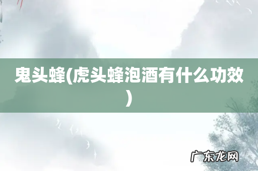 虎头蜂泡酒有什么功效 鬼头蜂