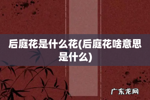 后庭花啥意思是什么 后庭花是什么花
