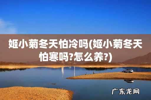 姬小菊冬天怕寒吗?怎么养? 姬小菊冬天怕冷吗