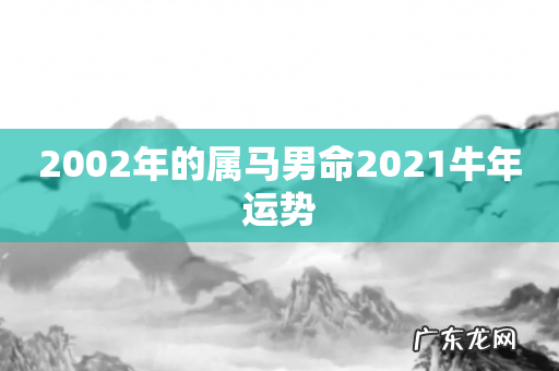 2002年的属马男命2021牛年运势