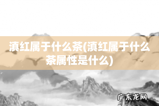 滇红属于什么茶属性是什么 滇红属于什么茶