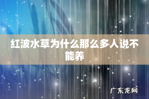 红波水草为什么那么多人说不能养
