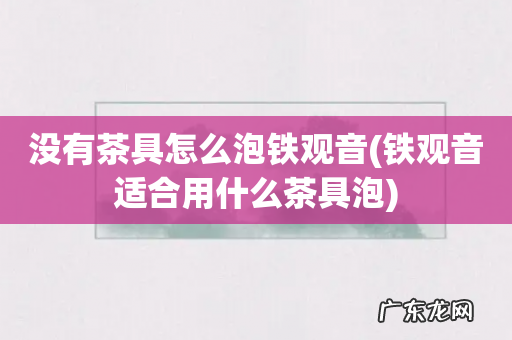 铁观音适合用什么茶具泡 没有茶具怎么泡铁观音