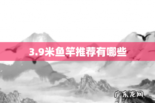 3.9米鱼竿推荐有哪些